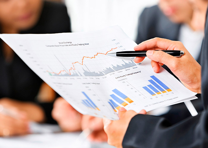 Layer-1 dmdbonds web development